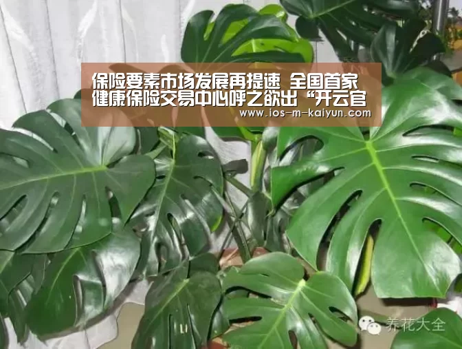 赛事数据