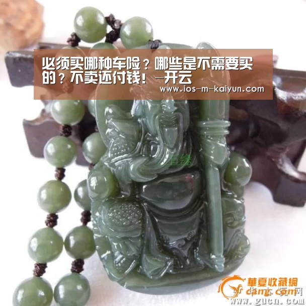 必须买哪种车险?哪些是不需要买的?不卖还付钱!-开云(图2) 开云体育